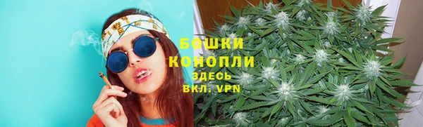 СК Белокуриха