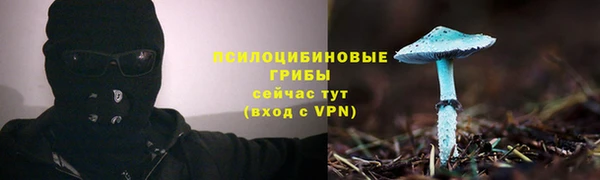 СК Белокуриха