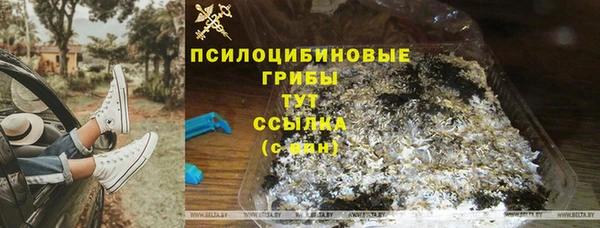 СК Белокуриха