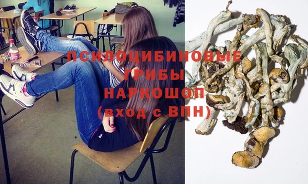 СК Белокуриха