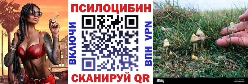 Галлюциногенные грибы GOLDEN TEACHER  Короча 