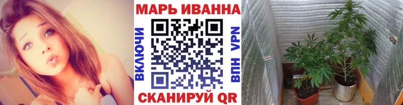 Шишки марихуана THC 21%  наркота  Короча 